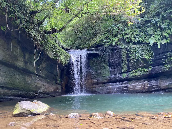 望古瀑布的潭水在陽光下泛著幽靜的綠色光澤。