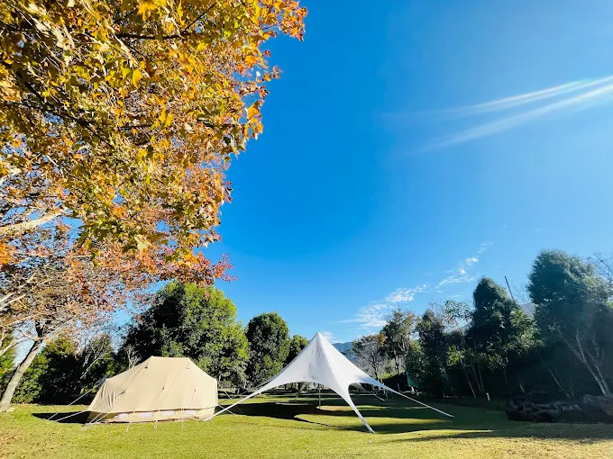 新竹五峰愛上喜翁民宿，山林間的迷霧與雲海交織成夢幻景色