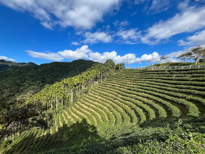 轉過山彎抵達石碇千島湖，翡翠水庫的碧綠忽然映入眼底