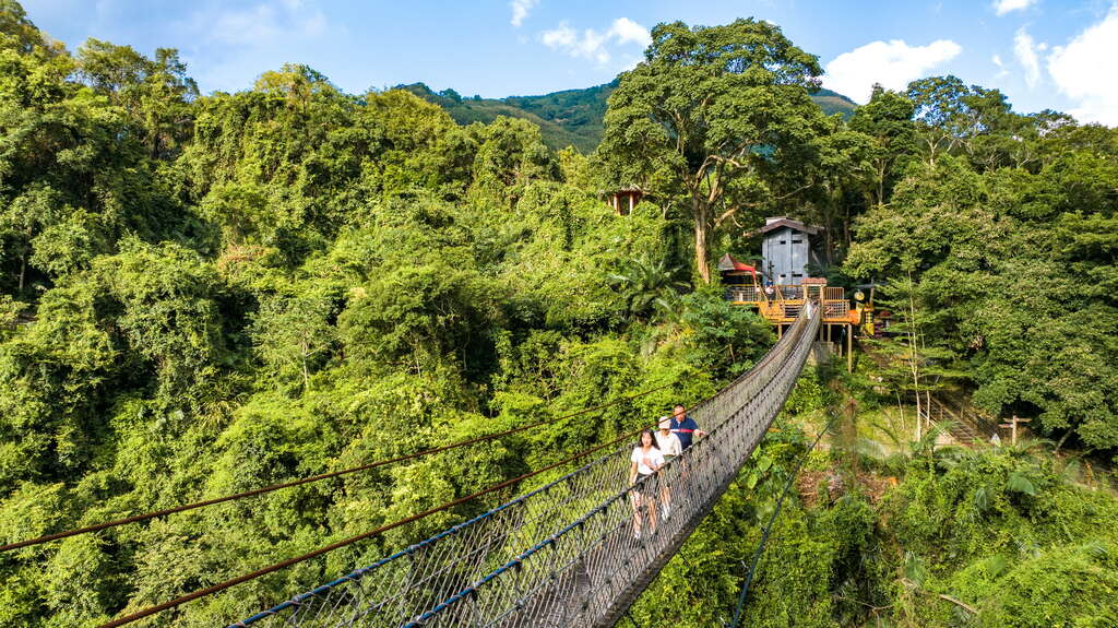 走進桃園復興的小烏來天空步道，在清晨山霧裡俯瞰瀑布翻湧的瞬間