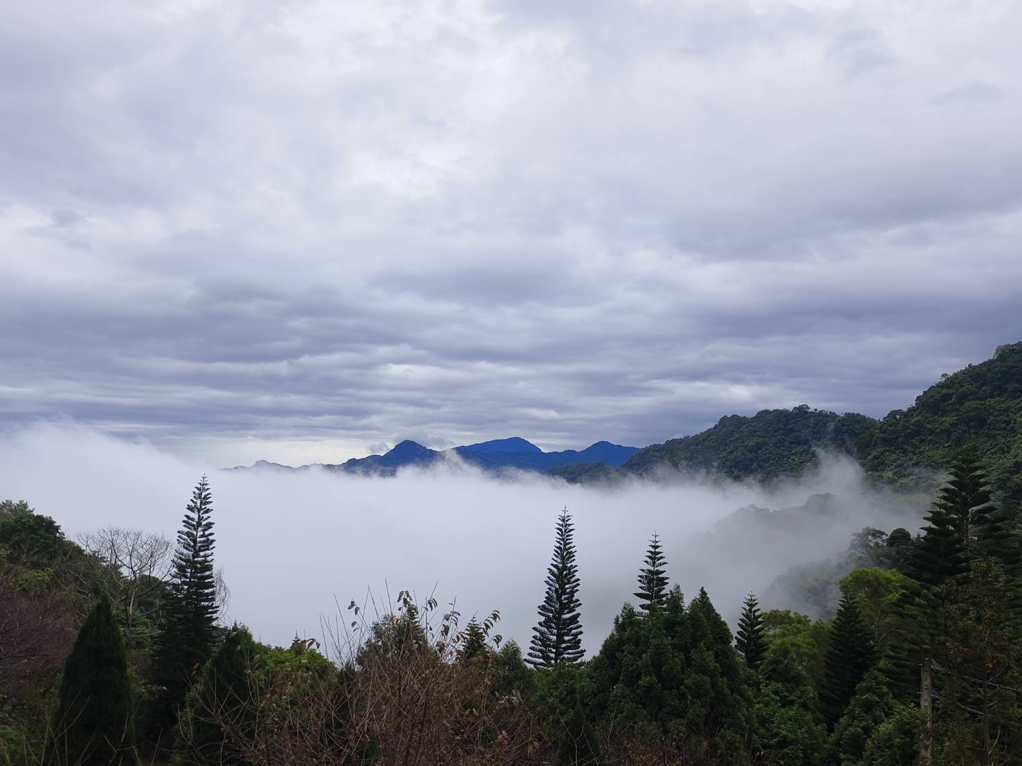 山巒疊翠的遠景