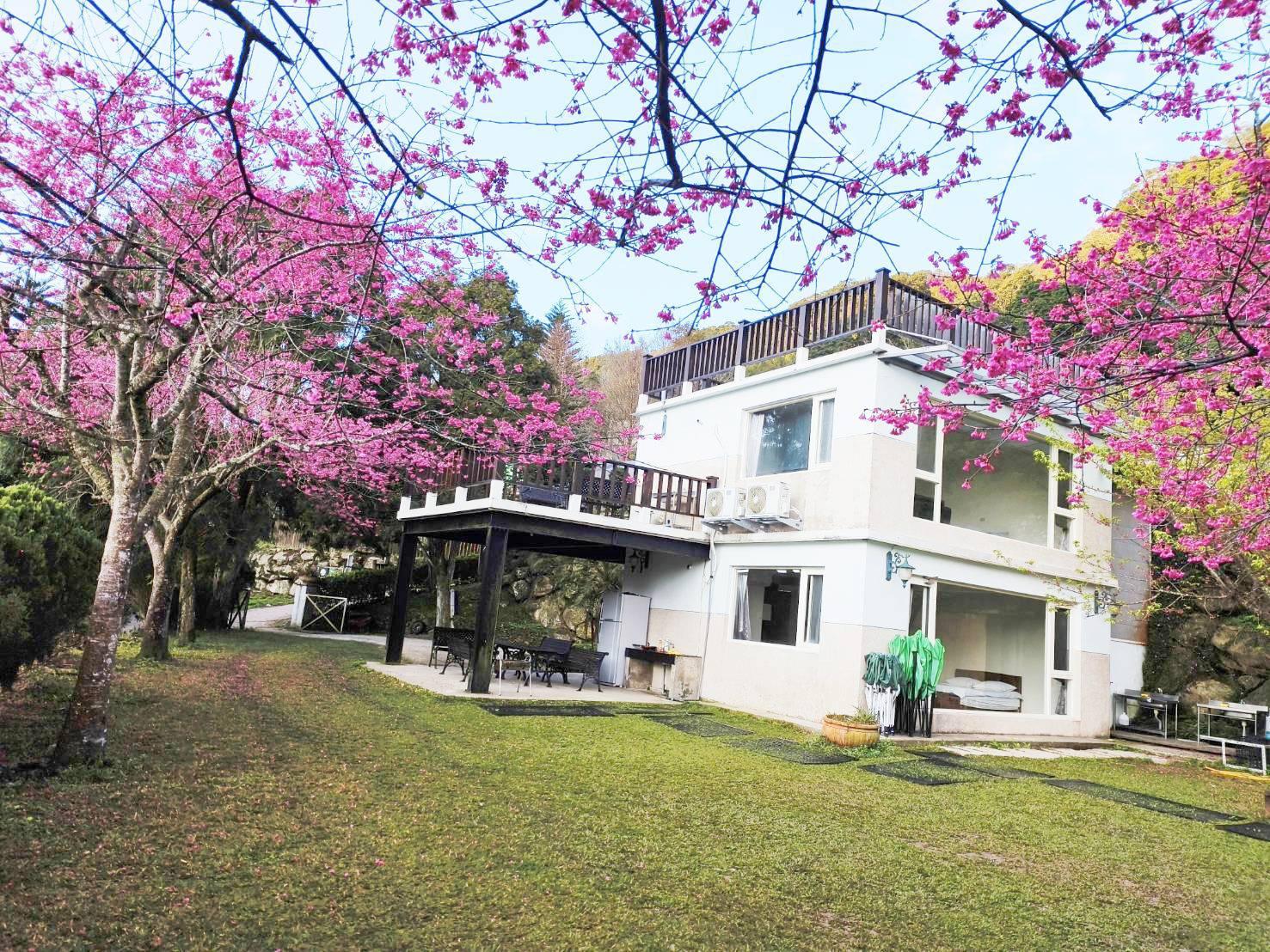 馬胎仙境露營區壯闊山景