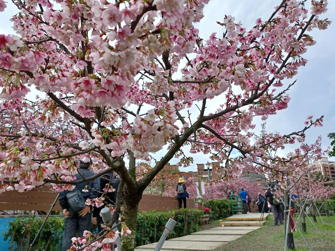 樂活公園步道景色