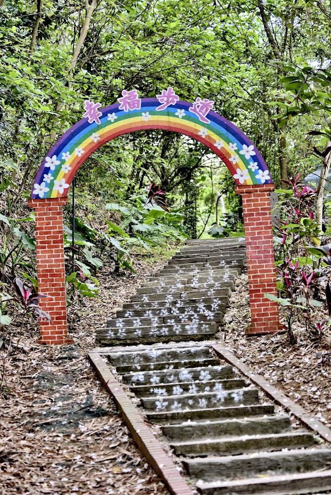 福田社區桐花步道美景