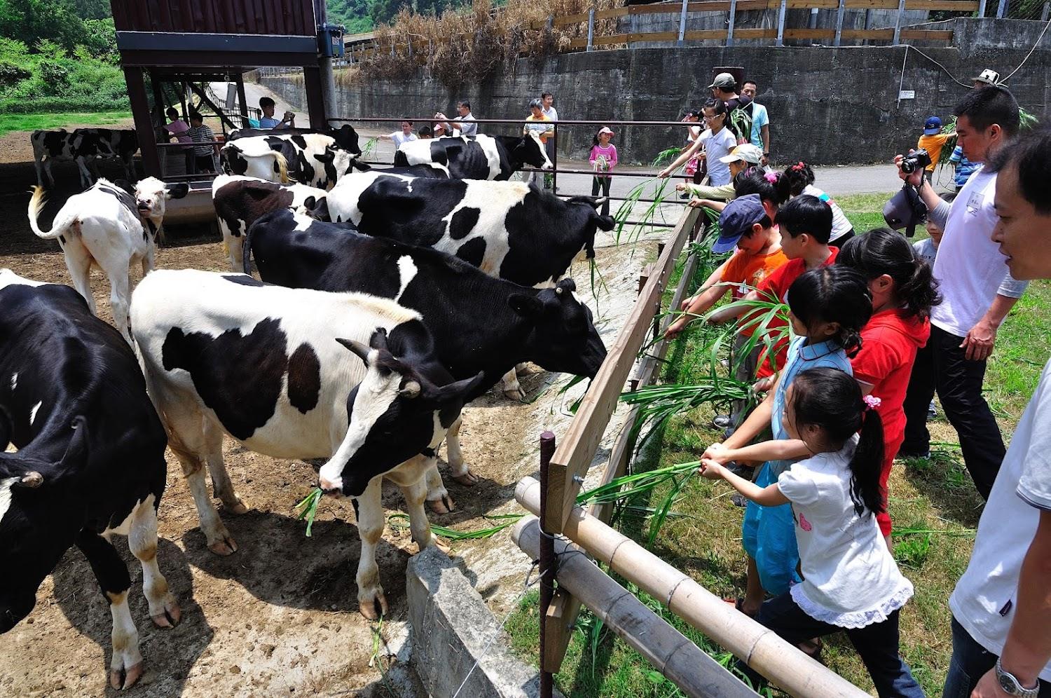 日月山景休閒農場環境