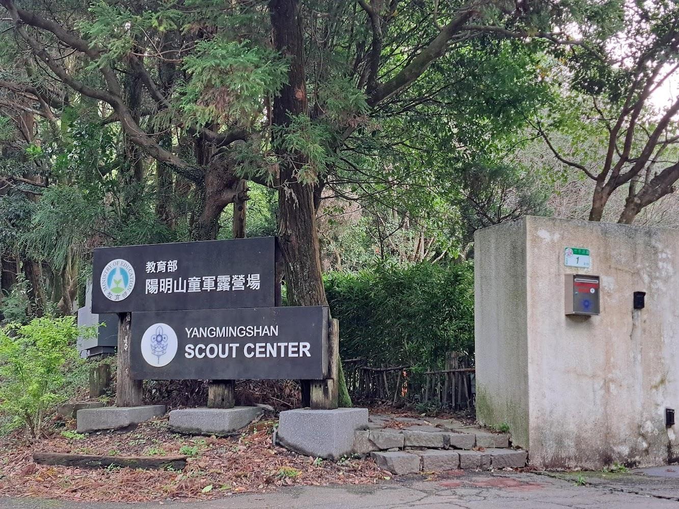 苗圃露營場森林景觀