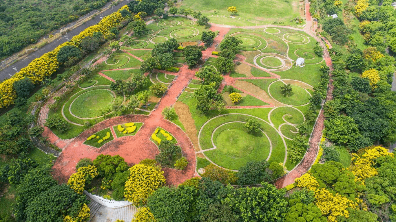 在台中后里花田綠廊,看見花海與天空交織的畫面,感受城市近郊的景色