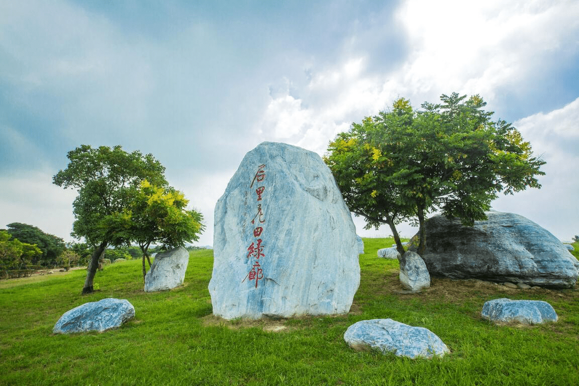 在台中后里花田綠廊,看見花海與天空交織的畫面,感受城市近郊的景色