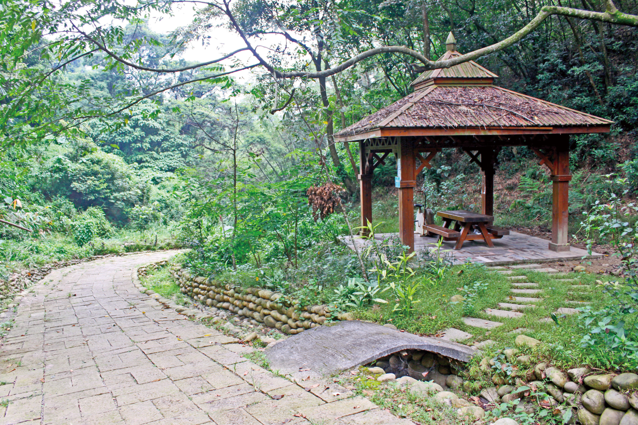 漫步在挑水古道的林蔭間，感受大自然的寧靜與歷史的厚度