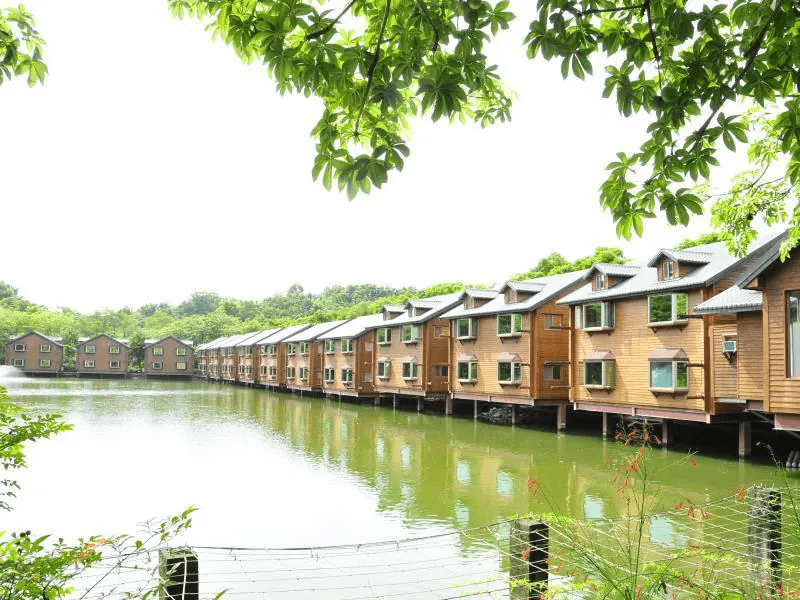 南元花園休閒農場內的天鵝與生態