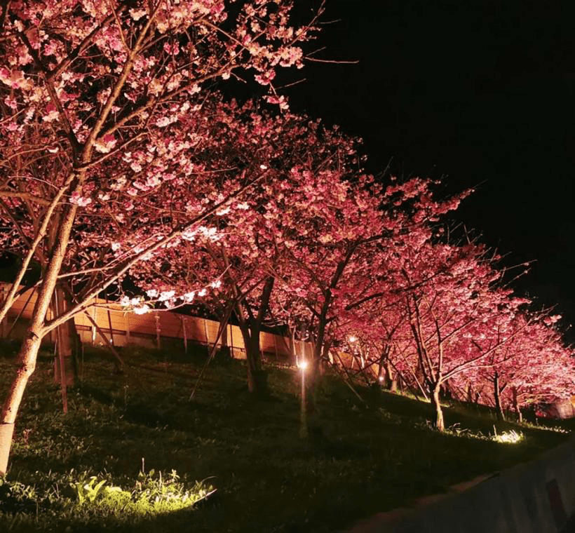 平緩的步道設計，讓樂活公園成為全家大小都能輕鬆享受的綠地空間