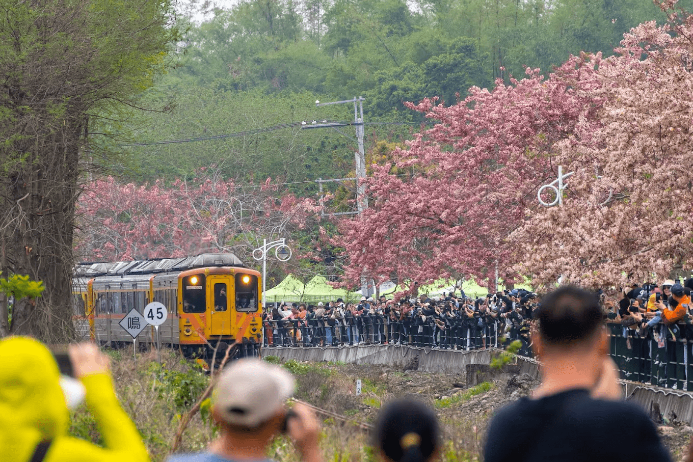 在地小農與花季活動