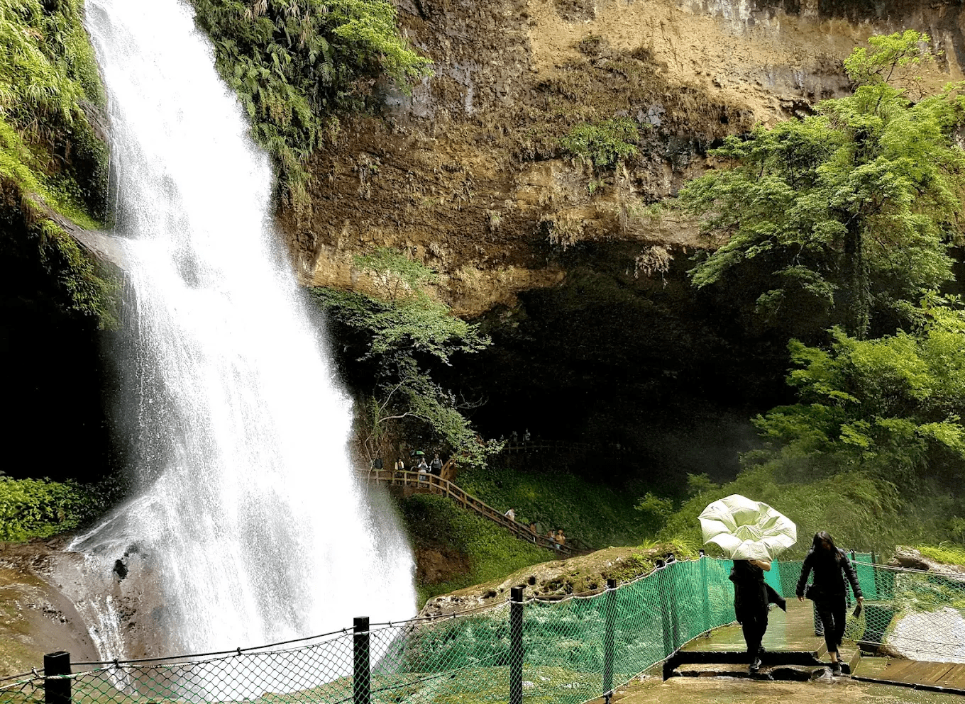 南投最強森林系避暑勝地！杉林溪森林生態渡假園區四季都美，瀑布、花海、步道一次玩透