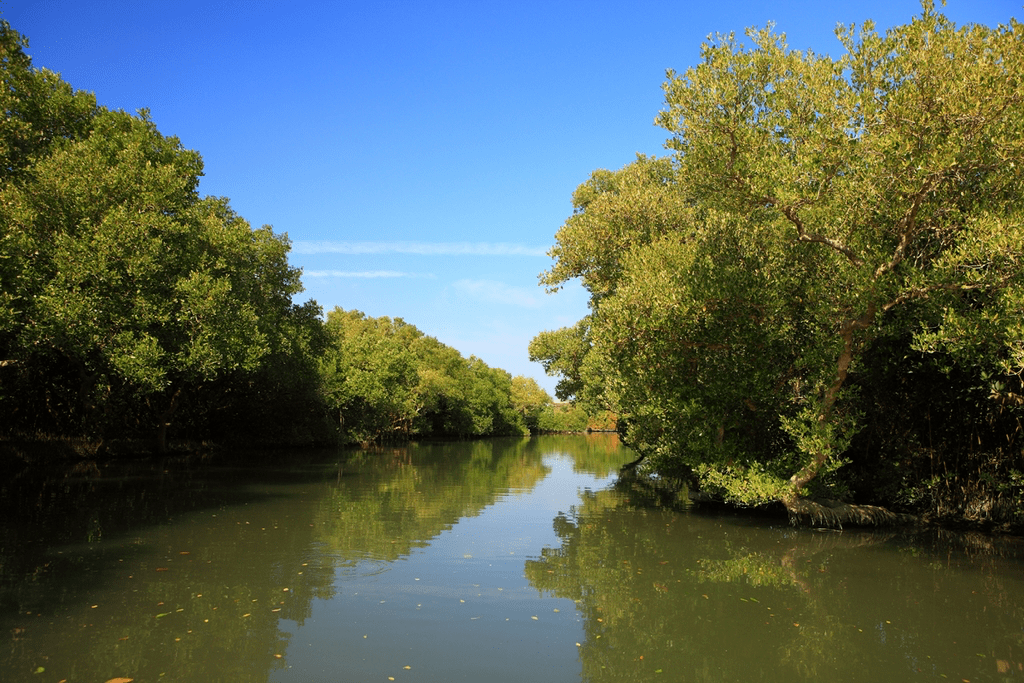 當竹筏緩緩駛入綠色隧道，台江把天空與水面交織成一幅靜靜流動的風景