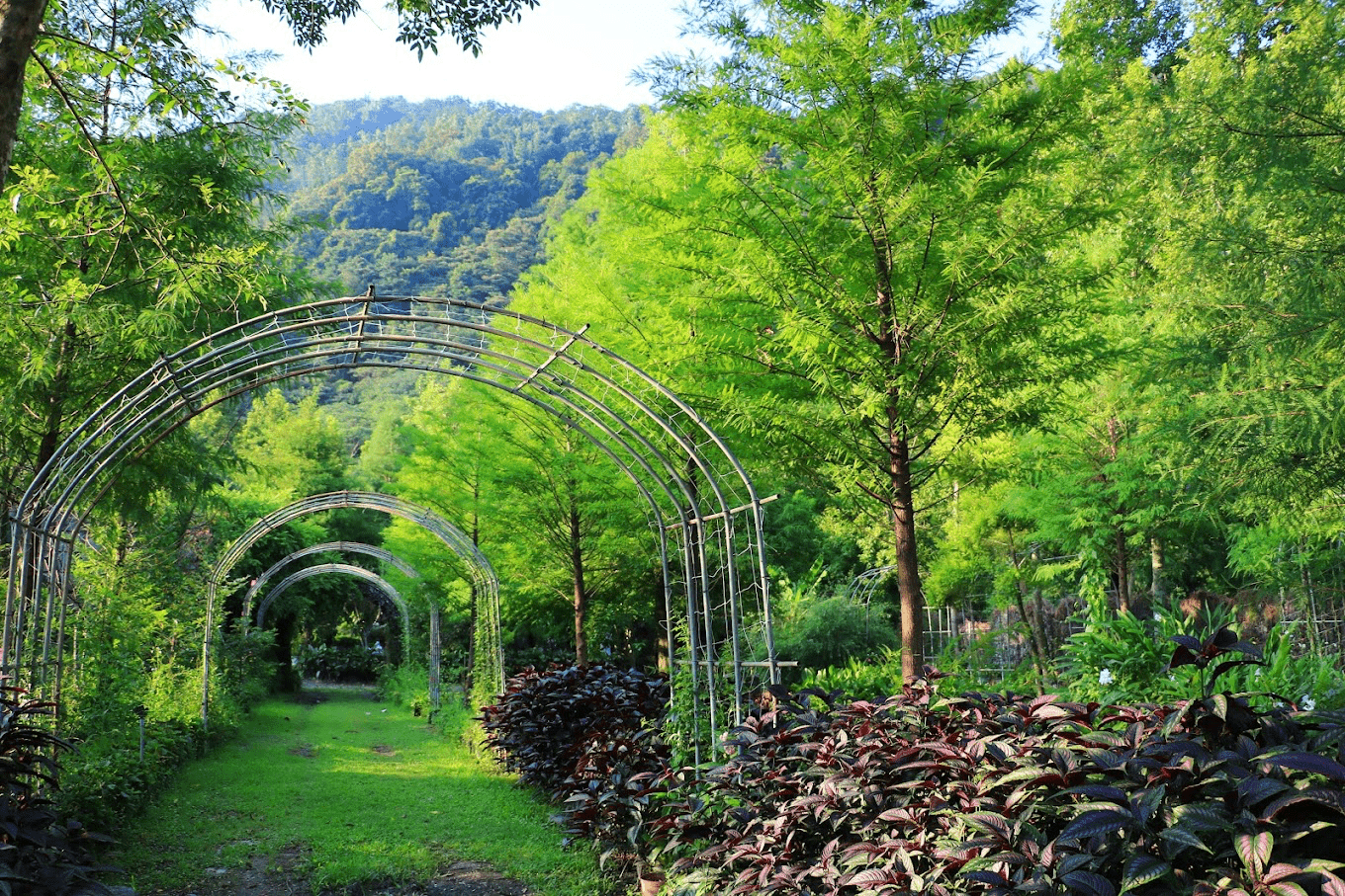 在埔里的微風中醒來，入住台一渡假村，讓自然陪你過一段剛剛好的時光