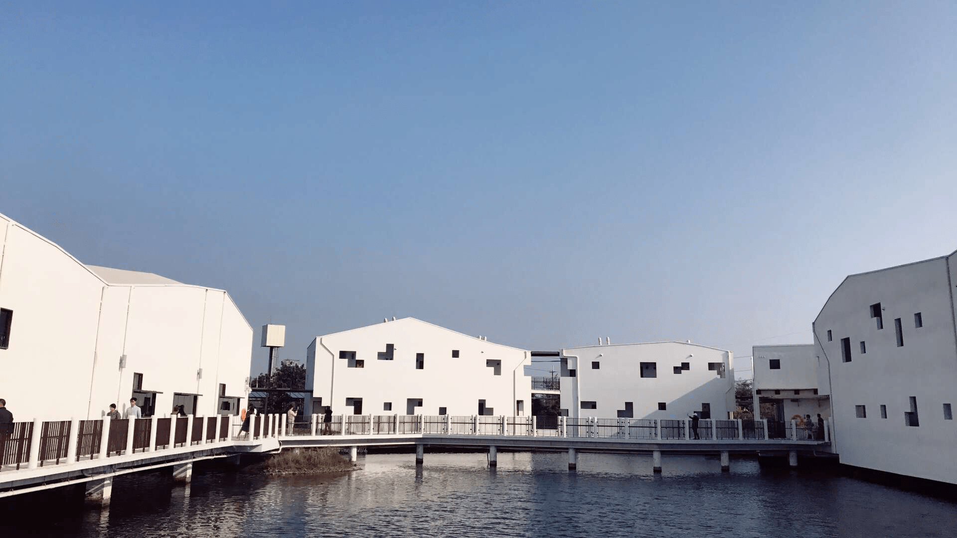 當竹筏緩緩駛入綠色隧道，台江把天空與水面交織成一幅靜靜流動的風景