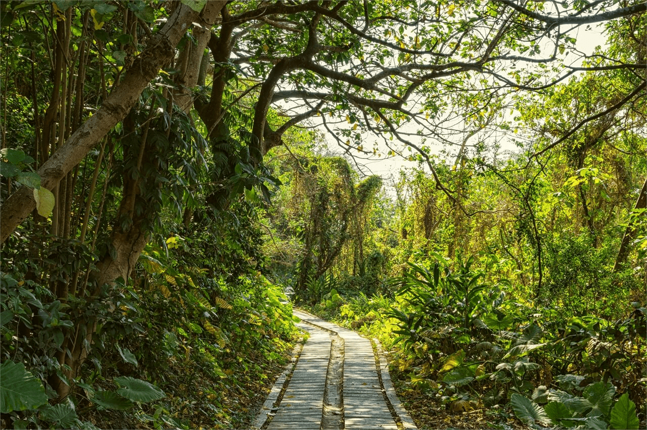 走進小琉球美人洞風景區，沿著礁岩步道聽海風在洞穴與光影之間流動
