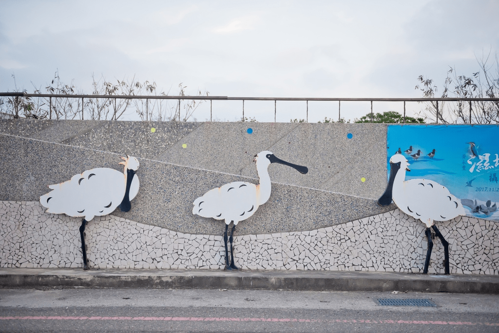 當竹筏緩緩駛入綠色隧道，台江把天空與水面交織成一幅靜靜流動的風景