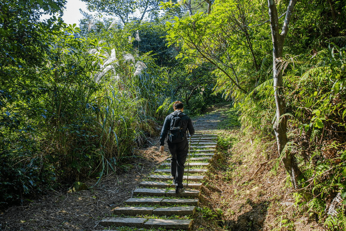 傍晚上山走進中和烘爐地，站在高處看夜景與香火交錯把整座城市收進眼底