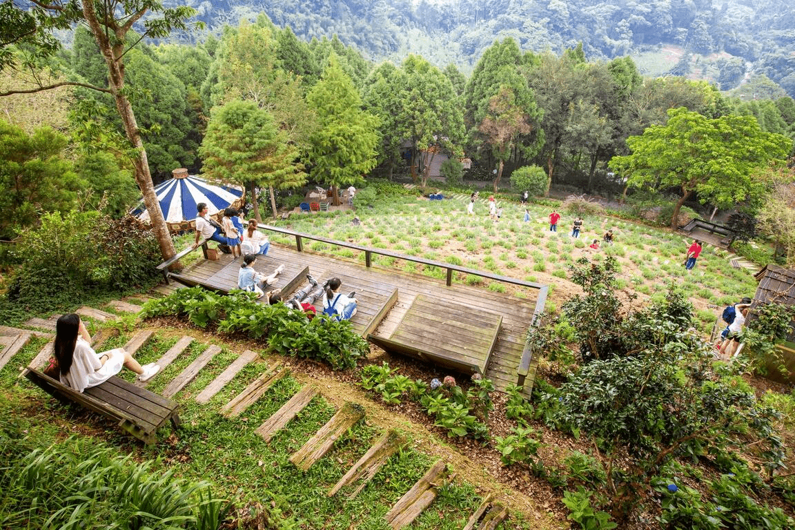 在台中山城農場與花海之間散步，讓午後光線慢慢落在步伐裡