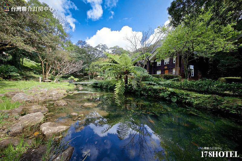 生態景觀池近拍