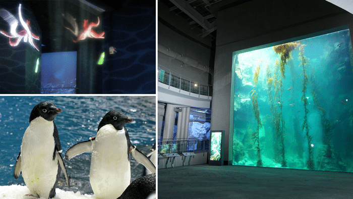 在屏東海生館跟著光影走進海底世界，讓魚群與時間一起慢下來
