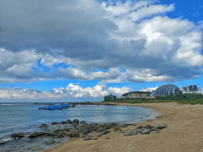在屏東海生館跟著光影走進海底世界，讓魚群與時間一起慢下來