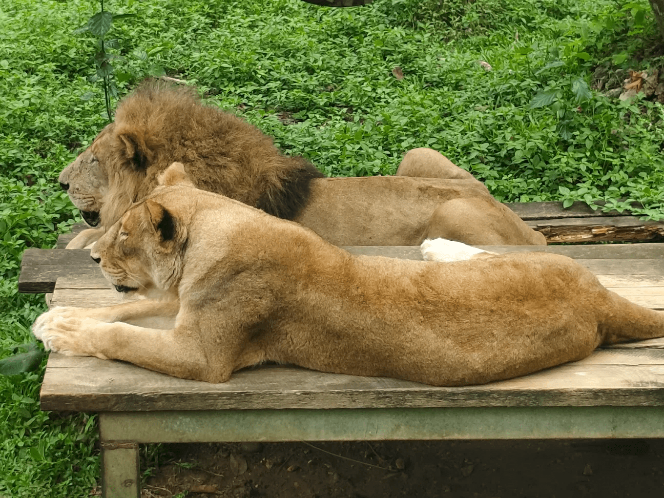 園區遊客休憩區