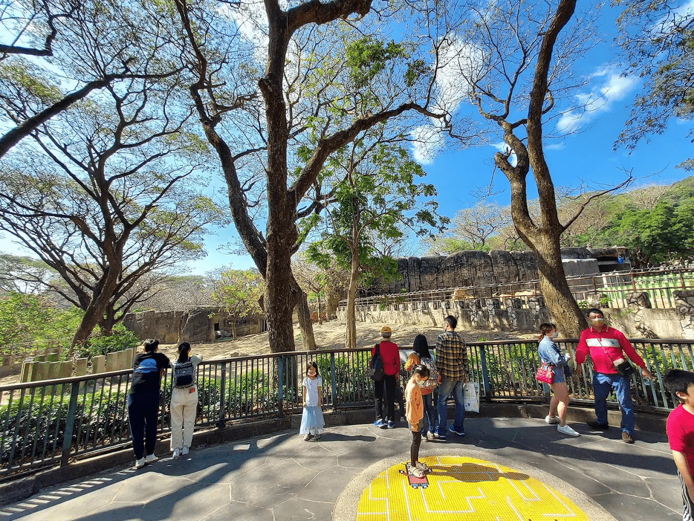 園區動物展示近照