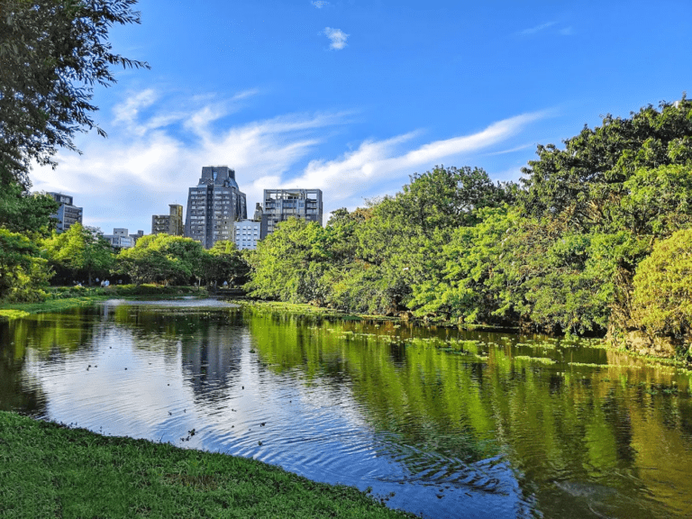 台北春日最美城市綠洲！走進大安森林公園賞杜鵑、看生態池，在都市裡遇見最療癒的慢時光