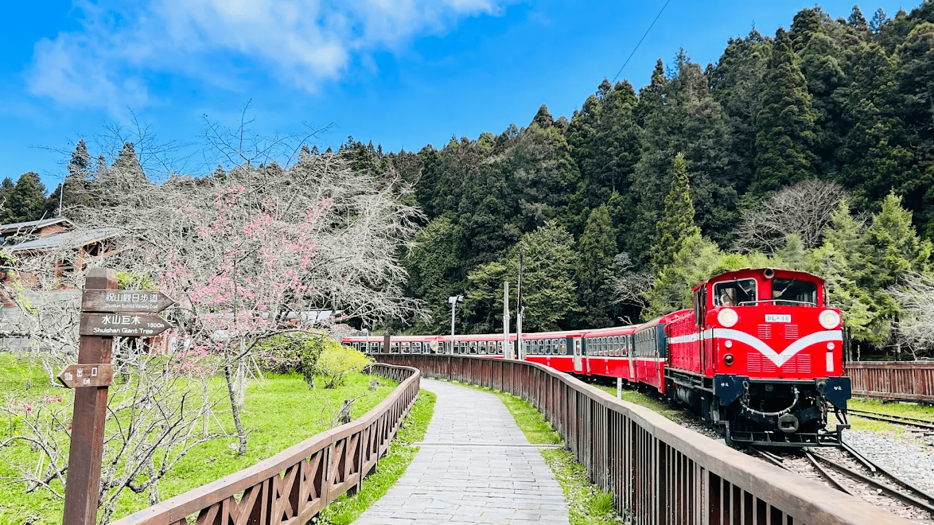 阿里山森林遊樂區內的人文景觀與建築