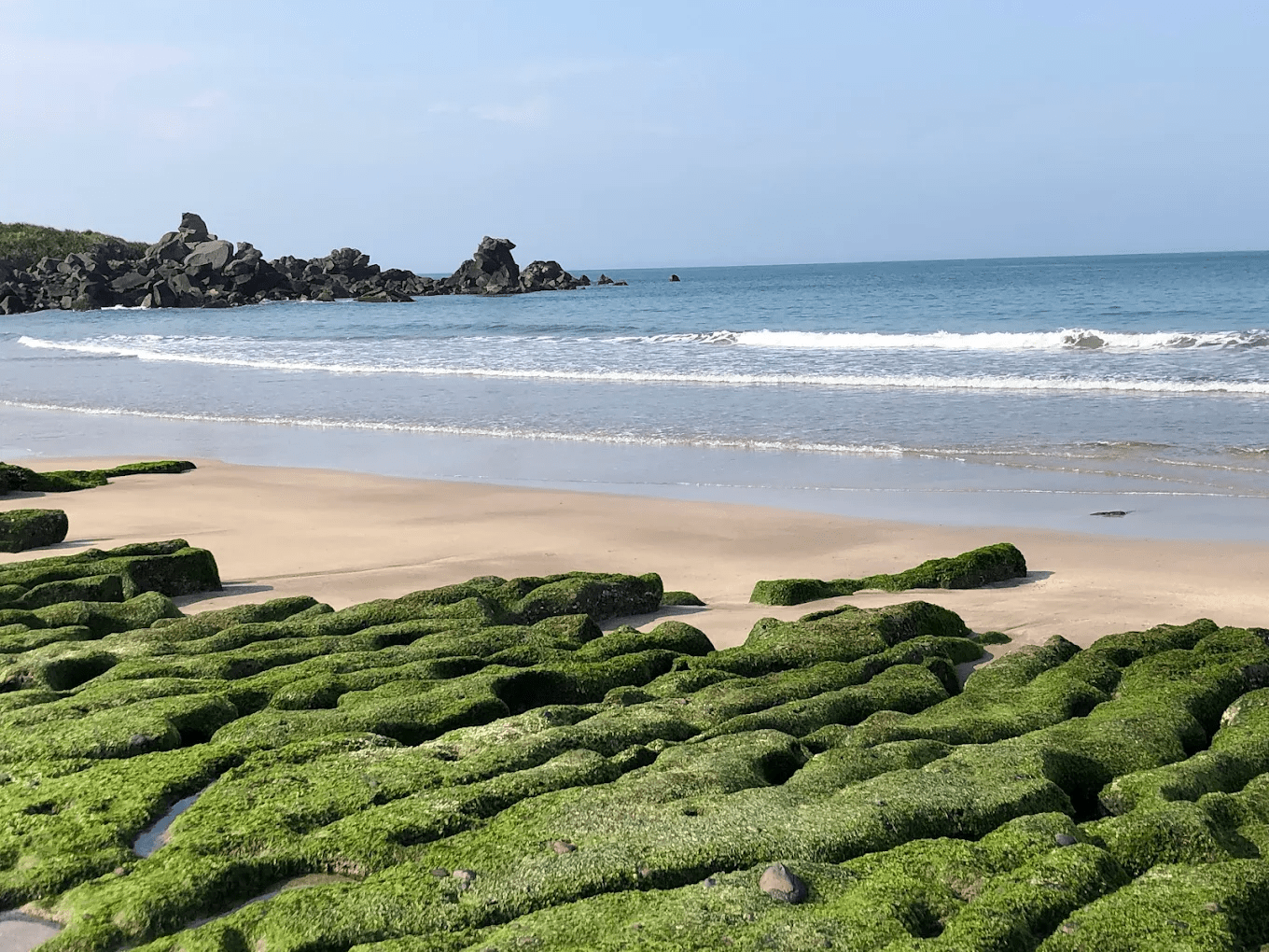 退潮時綠色石槽延伸向海洋的景致