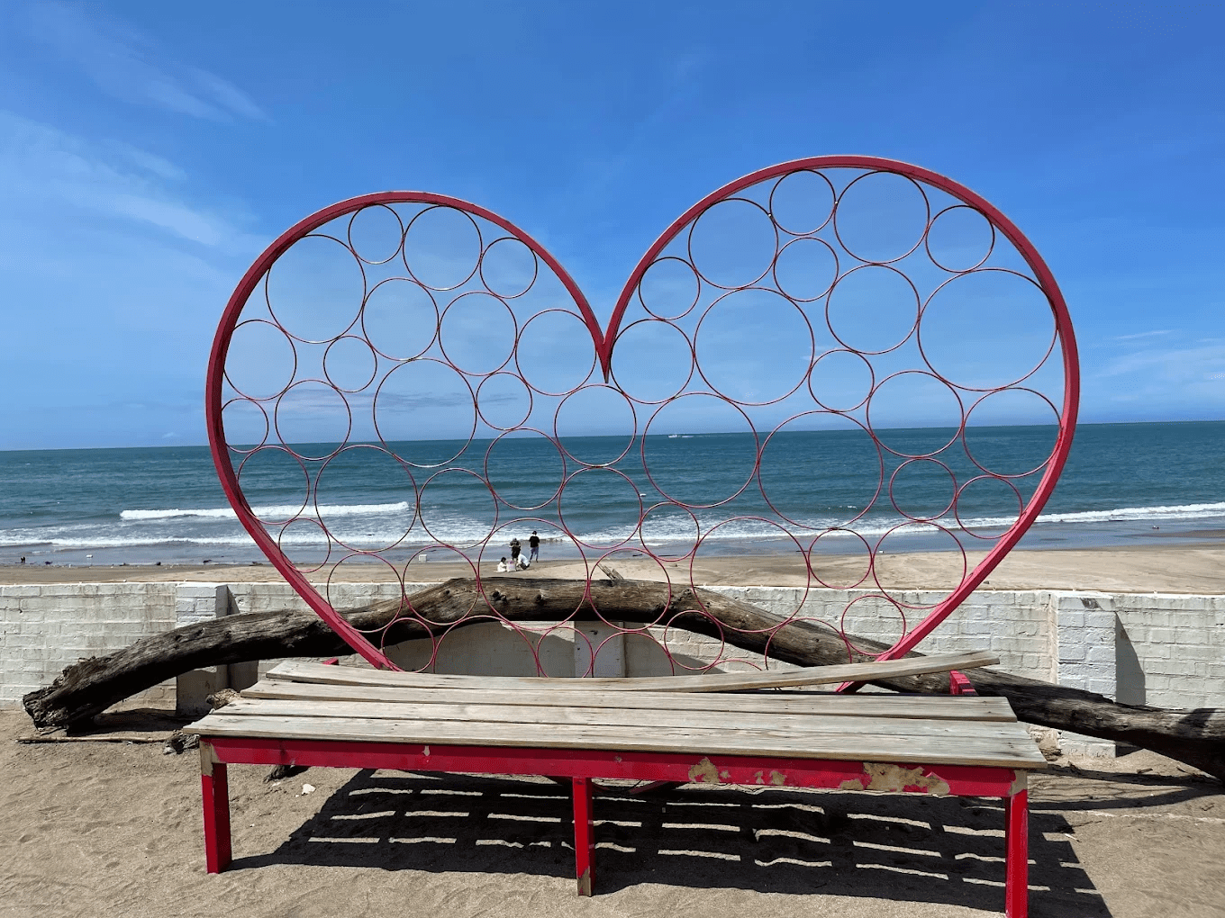 孩子們在海邊觀察潮間帶生命