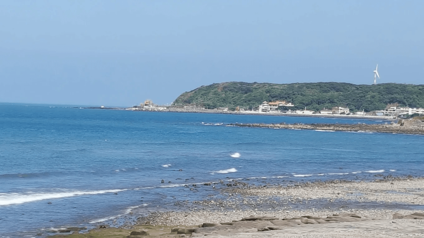 近距離觀察石槽潮間帶生態