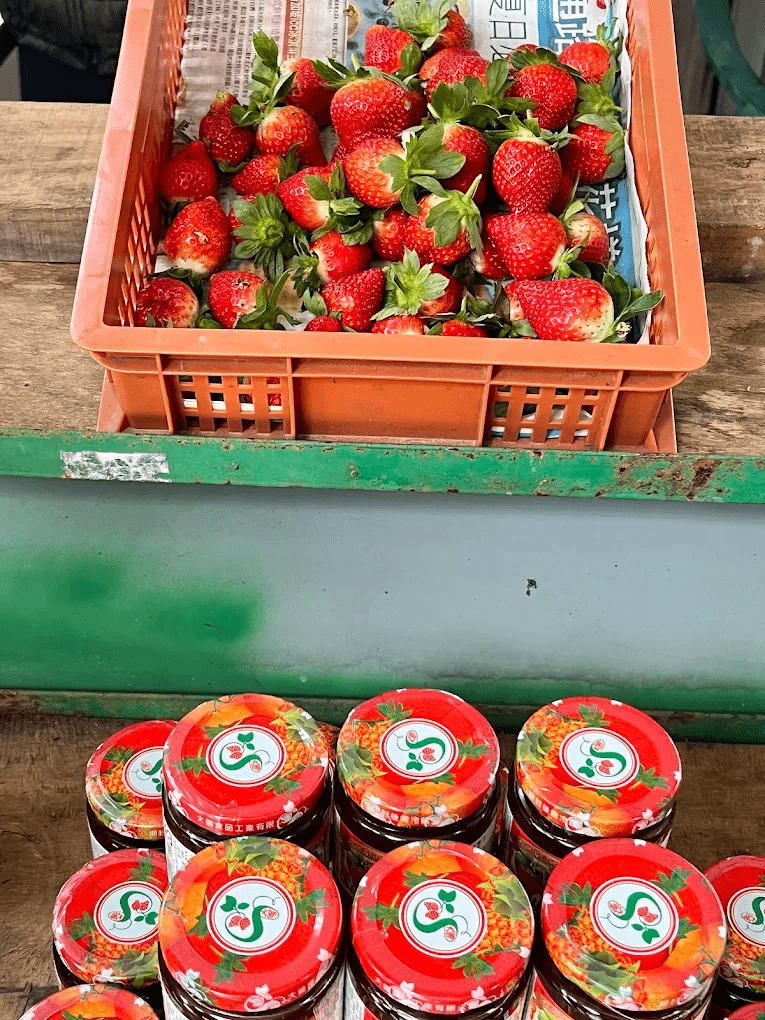 草莓園入口與招牌