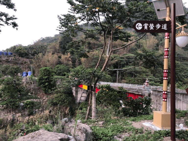 2026高雄賞螢必去！達卡努瓦賞螢步道點亮山林夜色，走進那瑪夏最夢幻的螢光秘境