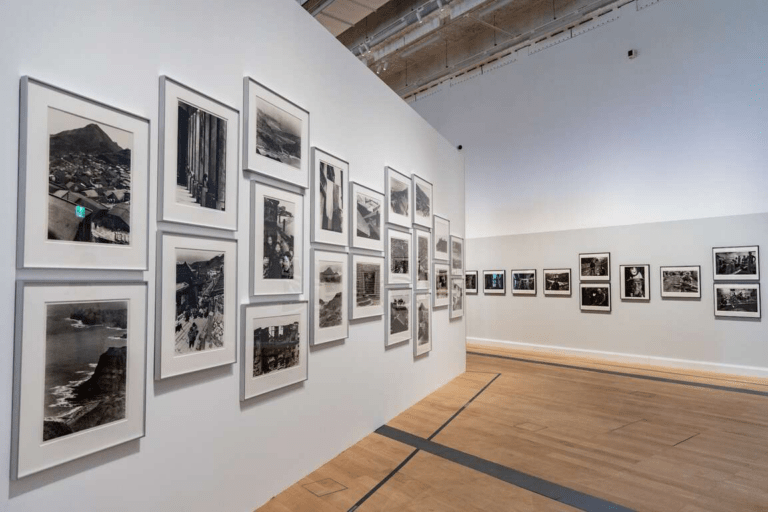 當代藝術遇見流動建築語彙，新北市立美術館寫下城市最溫柔的文化風景