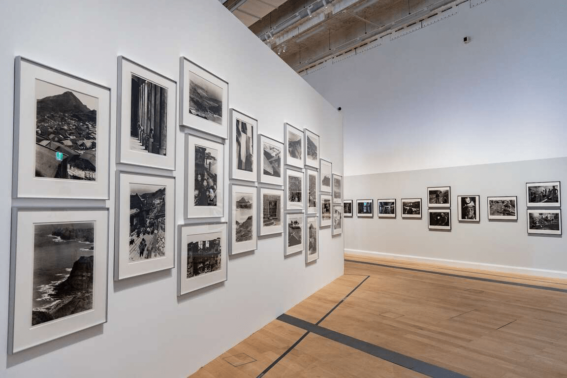 當代藝術遇見流動建築語彙，新北市立美術館寫下城市最溫柔的文化風景