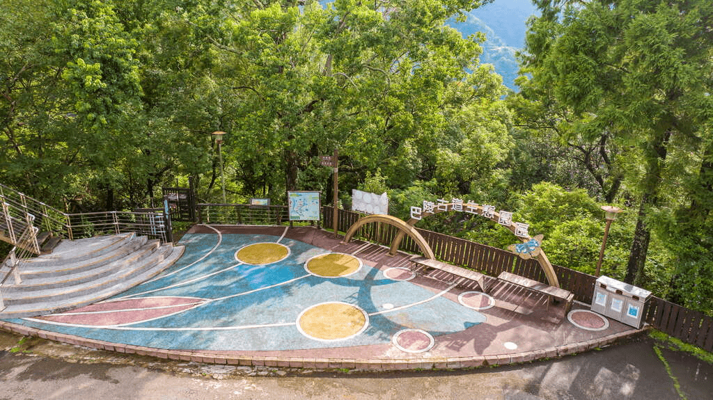 桃園復興山霧之中，巴陵古道靜靜延伸，把泰雅記憶與森林氣息寫成風景