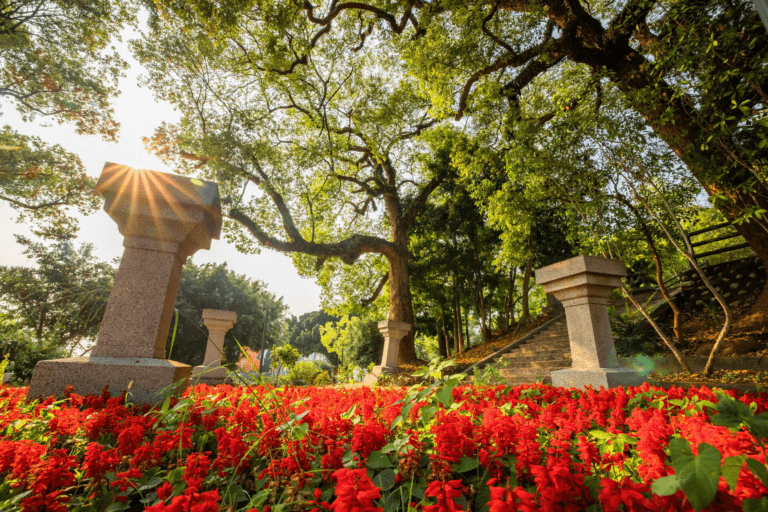 當夕陽灑落山丘與遠方城市之間，走進百果山遊憩區讓風景充滿溫暖層次
