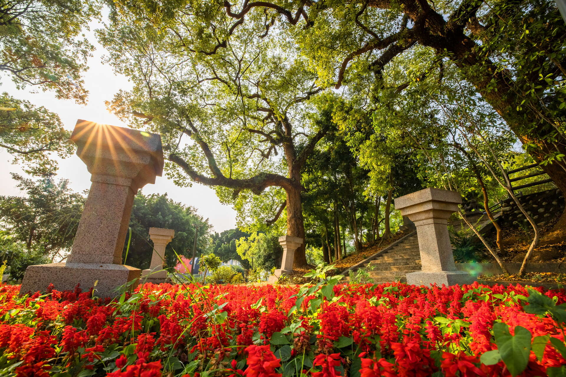 當夕陽灑落山丘與遠方城市之間，走進百果山遊憩區讓風景充滿溫暖層次