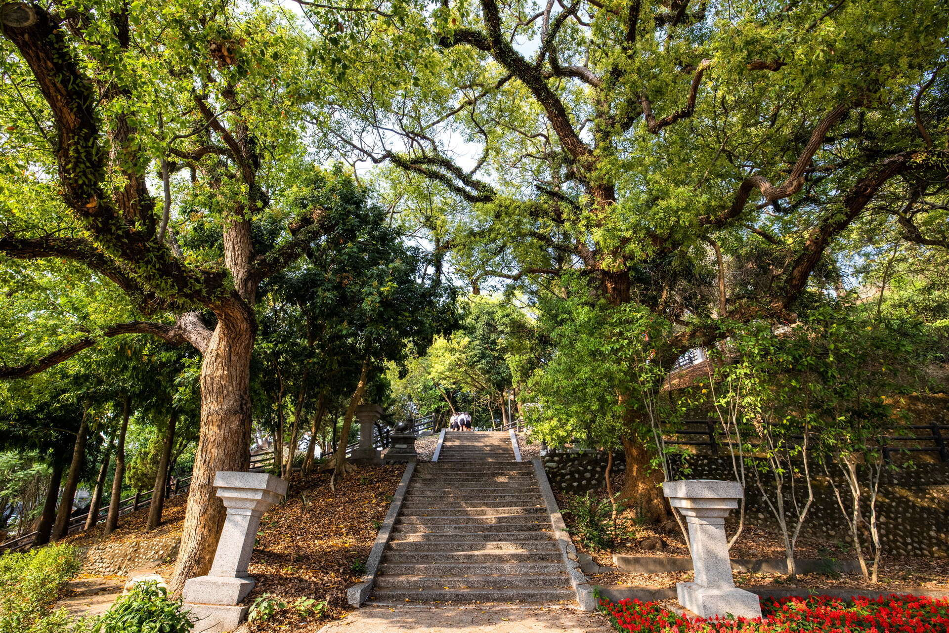 當夕陽灑落山丘與遠方城市之間，走進百果山遊憩區讓風景充滿溫暖層次