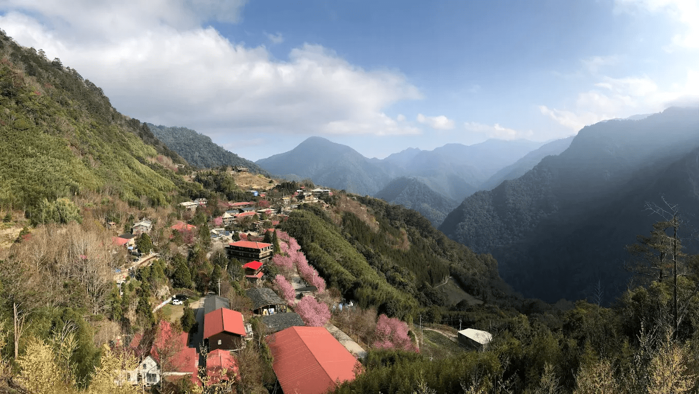 司馬庫斯巨木群