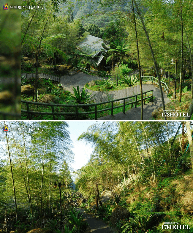 溪頭新明山木屋渡假村｜雙人一泊三食＄2380元起 升等家庭房 含早餐下午茶晚餐 森林木屋度假