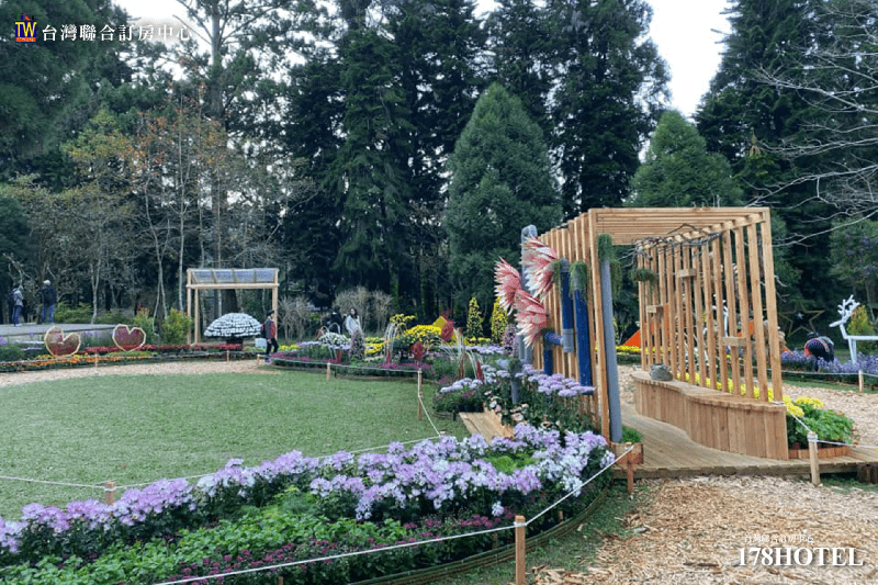 溪頭金台灣山莊｜原木窗型雙人房＄1999元 含早餐，檜木芬多精民宿 享竹林雲海山嵐景觀