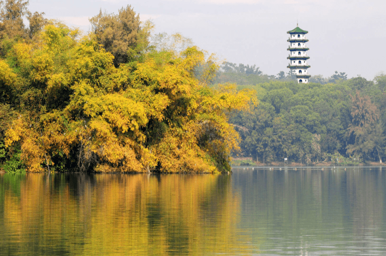 漫步在高雄澄清湖九曲橋，在湖光與微風之間感受城市後花園的自然魅力