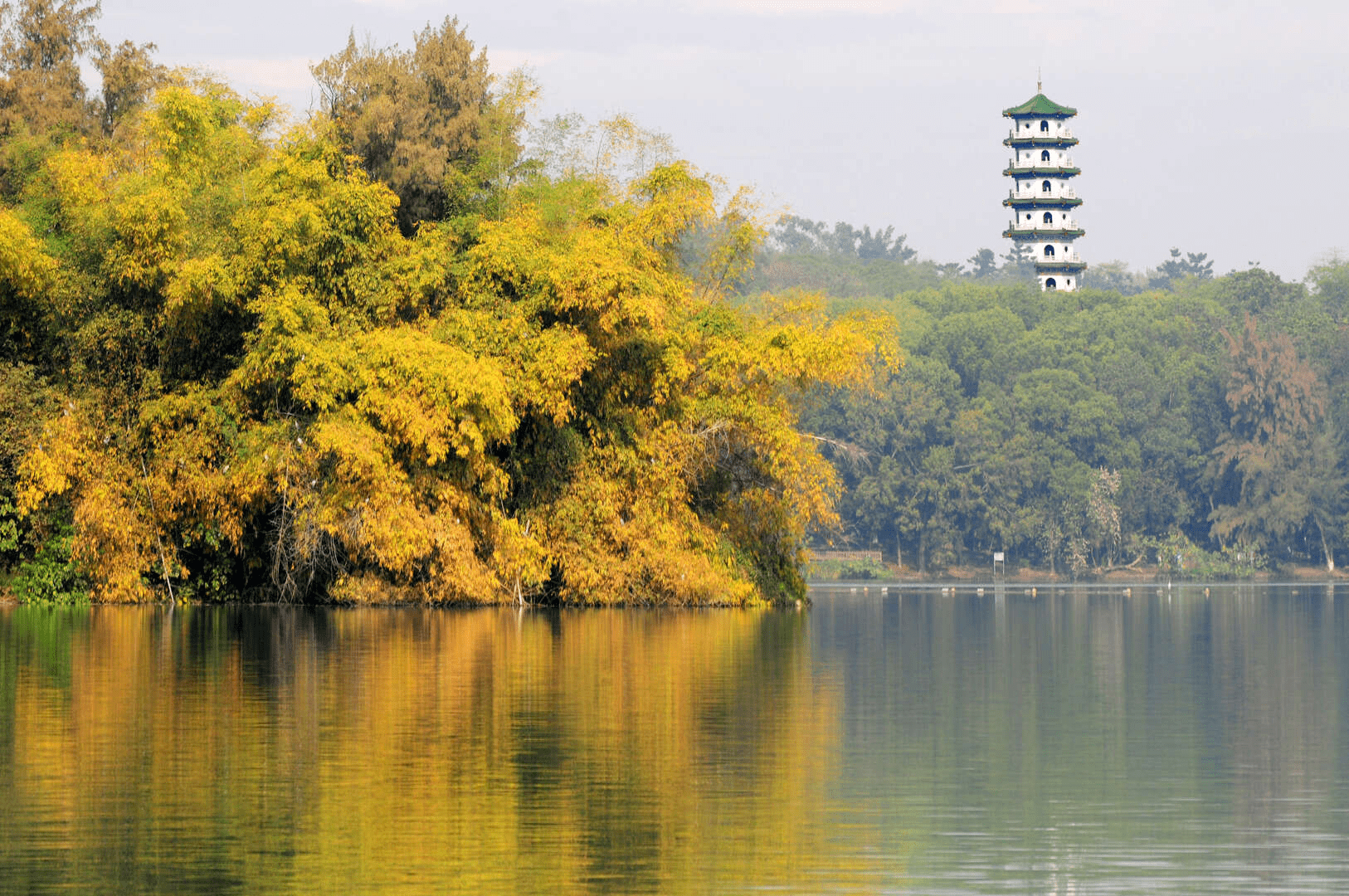 漫步在高雄澄清湖九曲橋，在湖光與微風之間感受城市後花園的自然魅力