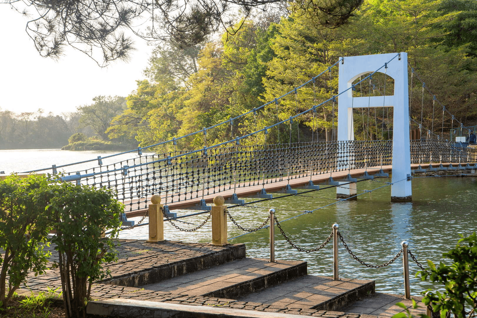 漫步在高雄澄清湖九曲橋，在湖光與微風之間感受城市後花園的自然魅力
