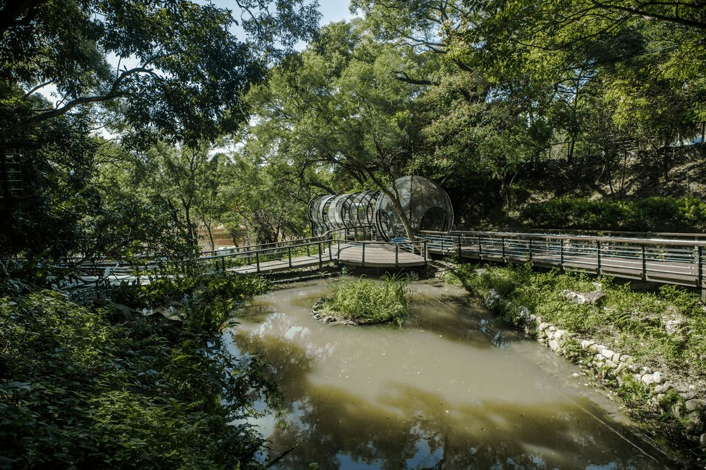 虎頭山公園的全齡友善步道提供平緩的木棧道空間