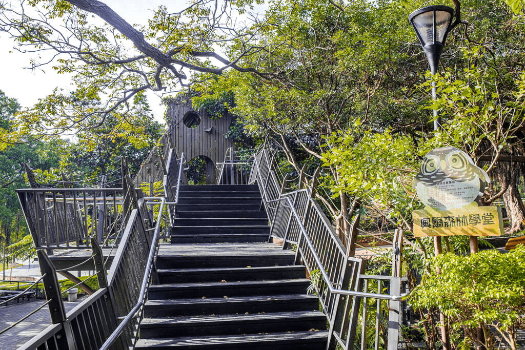 位於虎頭山公園內的奧爾森林學堂以可愛的貓頭鷹樹屋為主題